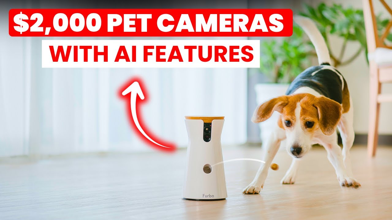 Камеры для наблюдения за домашними животными за 2000 долларов с искусственным интеллектом || Роск...