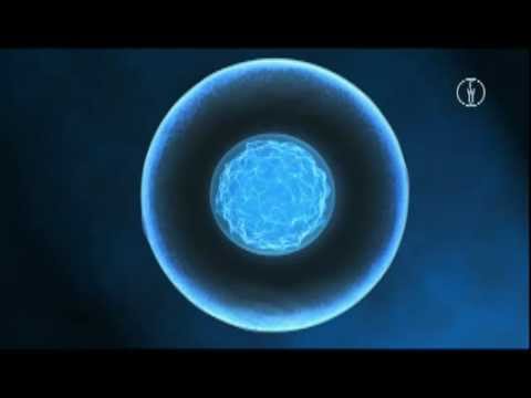 FWU -  Die Zelle: Zellteilung - Mitose