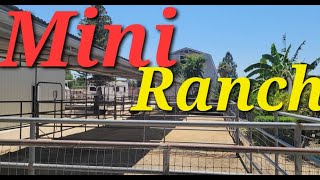 M I NI  Ranch for sale in Norco Ca.