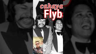 Download Lagu flybaits MP3 Download Lagu flybaits MP3