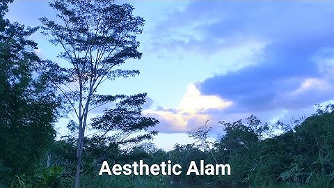 cinematic alam pedesaan | cinematic estetik  (1 menit)