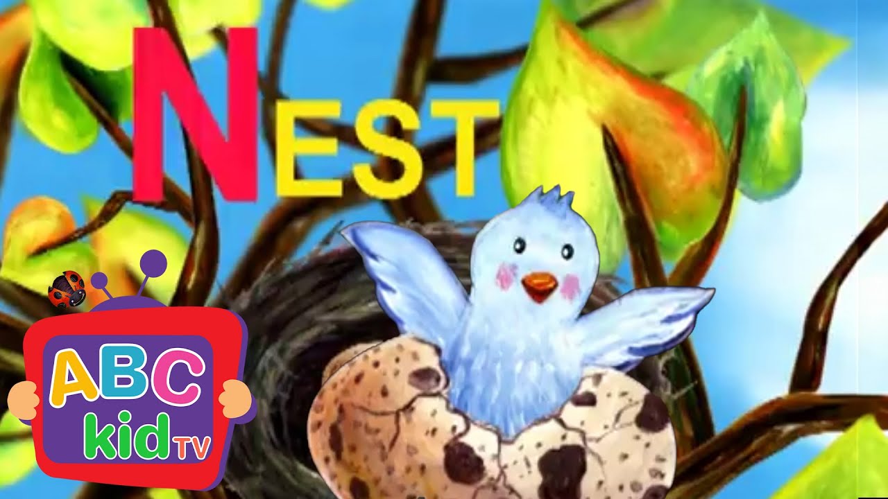 Learn the ABCs: "N" is for Nest | ABC Kid TV Nursery Rhymes & Kids Songs