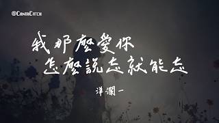 洋瀾一 - 我那麼愛你怎麼說忘就能忘『你賜我一道看不見摸不到的傷 再痛也不能聲張 說好了一生 卻在半路轉身留下一道難愈的痕』【動態歌詞/PinyinLyrics】