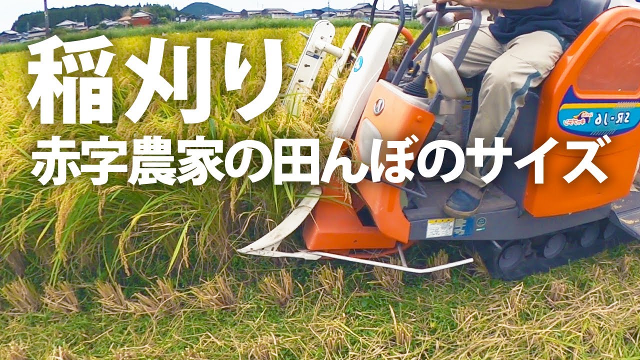 【稲刈り】赤字の田んぼは2枚2反20畝0.2町歩0.2ha20a2000㎡600坪【田舎暮らし】