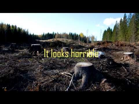 Video: Vad är kalavverkning vid avskogning?