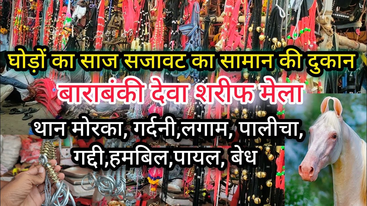 ये वीडियो देखो | सबसे सस्ता घोड़े का सजावट का सामान मिलेगा😱 | Full Horse Accessories In This Video .