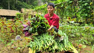 Harvest Green Vegetables Goes to the market sell  Gardening | Solo Survival