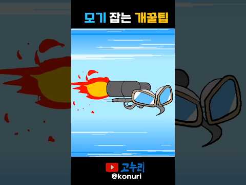 모기 쉽게 잡는 개꿀팁