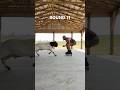 Who’s the boss?: Round 11 #outdoorsman #countrylife #goatfarm #farmlife #whostheboss