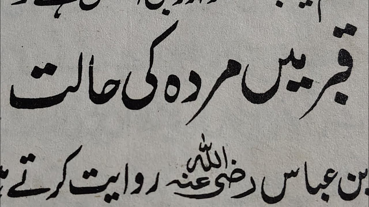 कब्र में मुर्दा की हालत😭