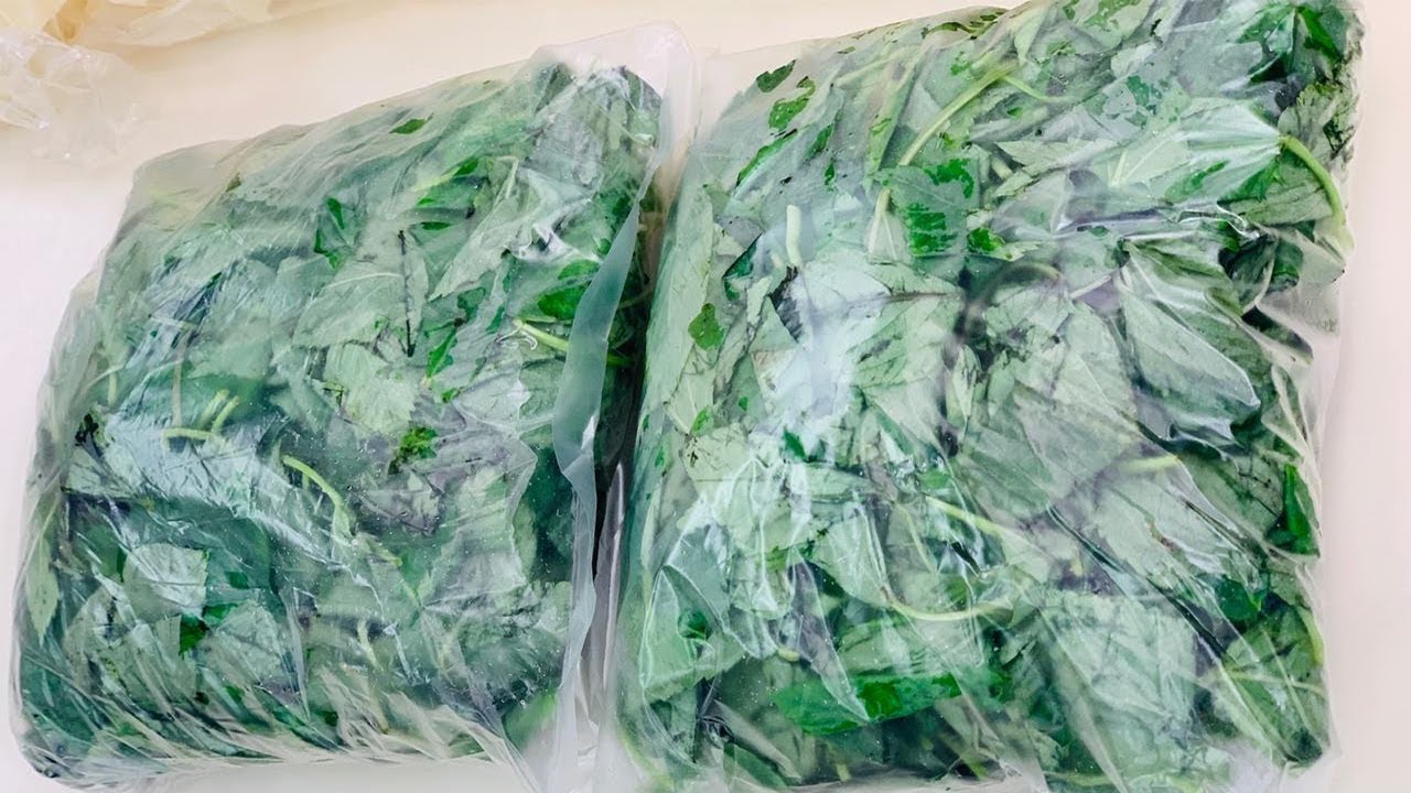 طريقة تفريز الملوخية الخضراء | أصول التفريز | العزومة مع الشيف فاطمة أبو حاتي