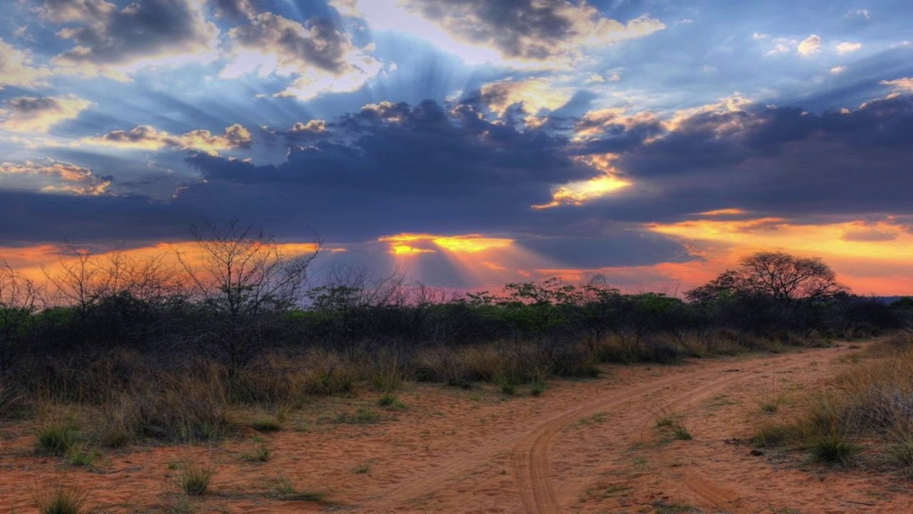 Post-Whatever South Africa (Mixtape Vol. 1)