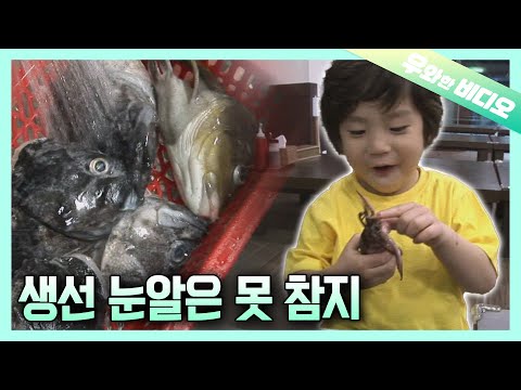5년 인생 중 생선 눈알이 <strong>제일</strong> 맛있다는 아이🐟👁┃<strong>This</strong> Kid&amp;#39;s Favorite Food is a Fish Eyeball🐟👁