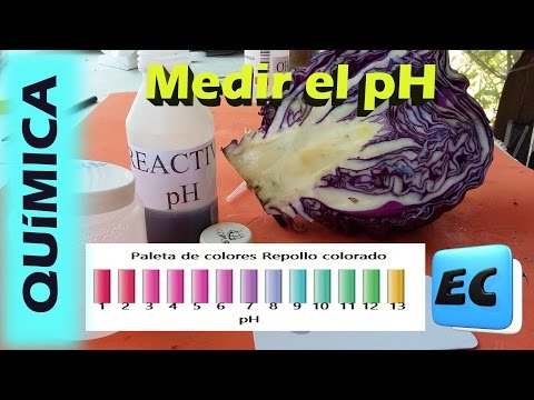 Vídeo: Com es fa un indicador de remolatxa?