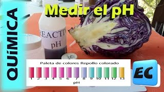 Como medir el pH  de la piscina en plan casero