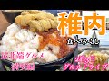 【道北 稚内の旅】札幌市民が最北端の地で食べまくる/ウニ、イクラ、カニ、タコ、ホタテの海鮮オンパレード/絶品ラーメンも食べ歩き