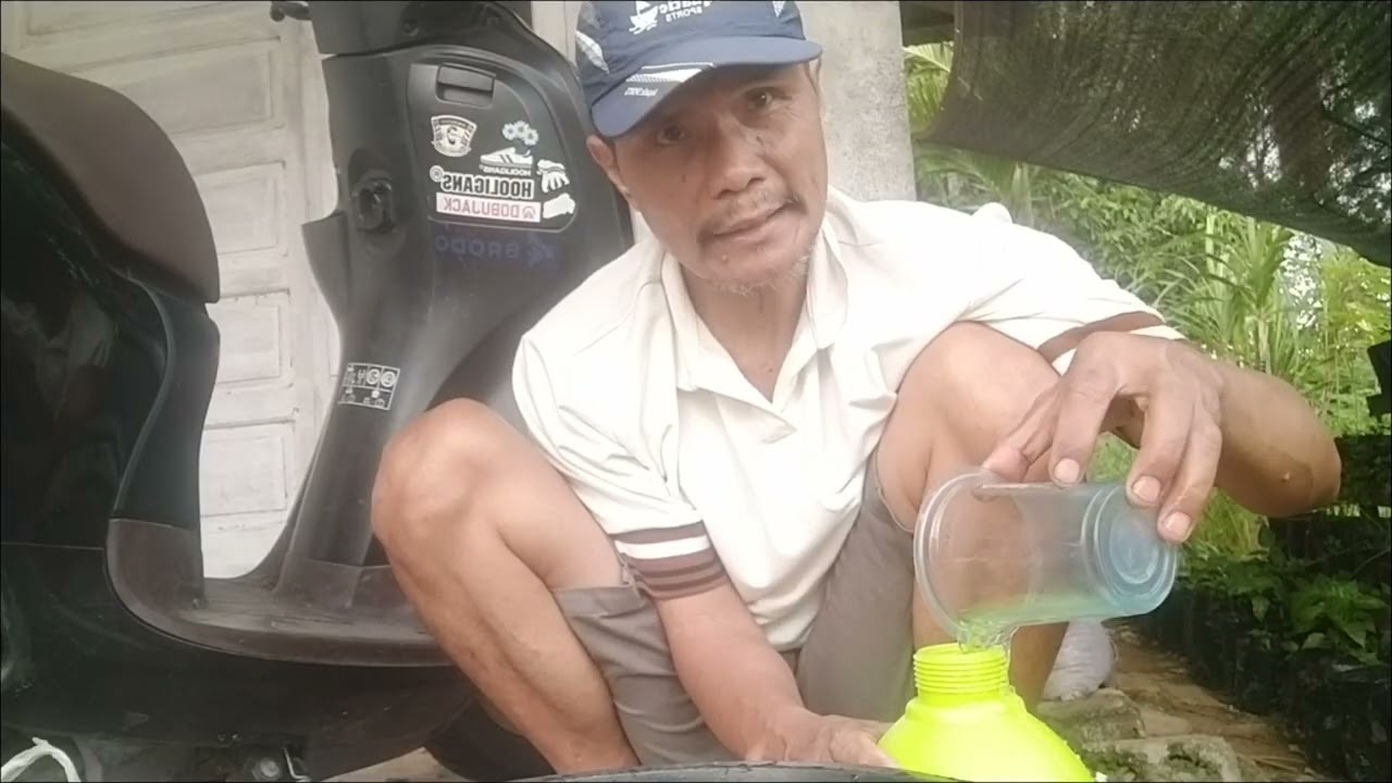 PUPUK SAMBURNA D Spray di Polybag Cabai Rumah – Hasil MELETOB, Hemat Ruang & Biaya! 💰🌶️"