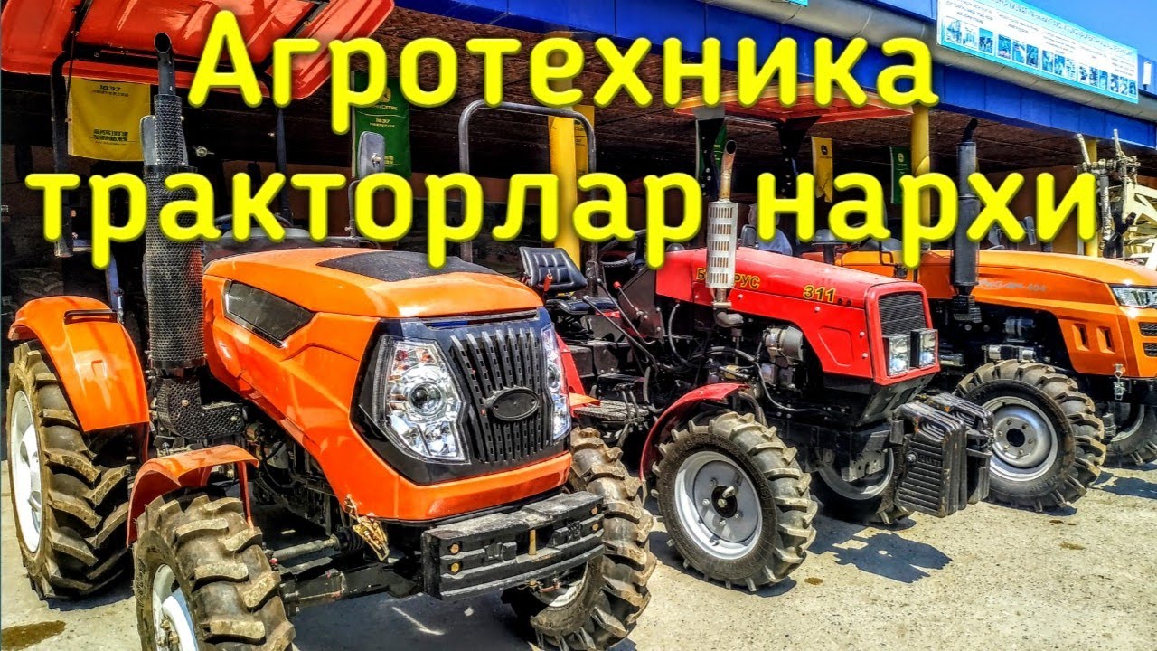 Газель нархлари узбекистонда