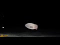 (abyss) copmo encontrar pink bearded snailfish, giant hatchefish y atlantic sixgill shark en dbsa