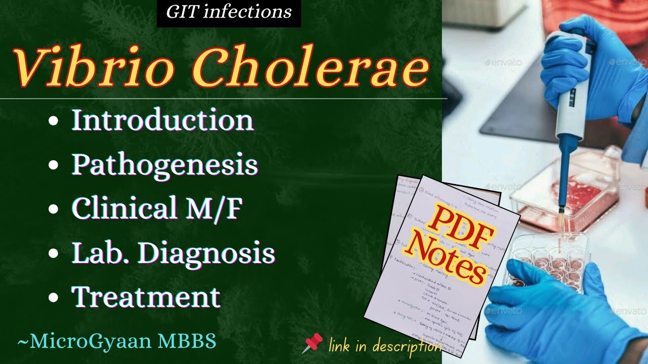 Vibrio cholerae: Classification, Pathogenesis, Symptoms & Diagnosis | MicroGyaan MBBS