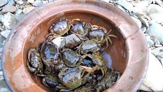 Primitive Technology - Pretty girl finding crabs in river - cooking crab on rock eating delicious
