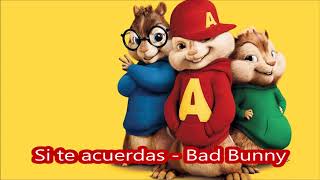 Si te acuerdas Bad Bunny - Alvin y la ardillas