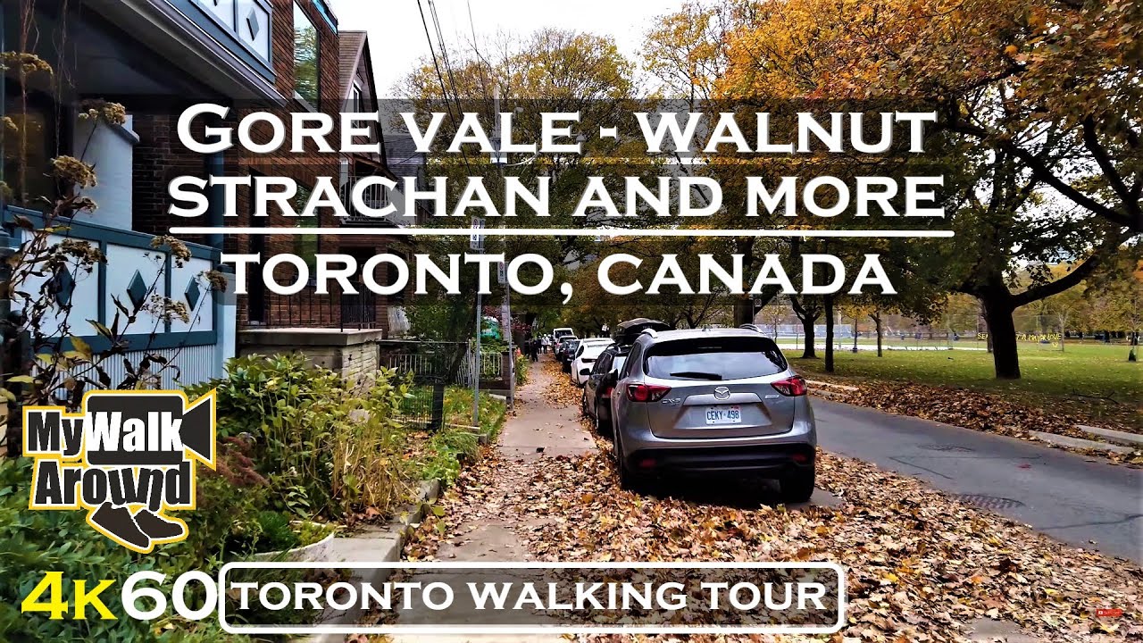 Gore Vale Ave , Walnut Ave, Strachan Ave and more (4k Toronto video walk)