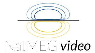 NatMEG lecture: Beamforming EEG and MEG data by Robert Oostenveld