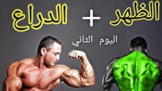 أفضل برنامج لتضخيم | programme musculation | افضل جدول تمارين كمال اجسام