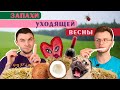 Мшистый или пёсий?/ Как пахнет в лучших домах?/ Гвоздичный купорос/ Слепые затесты от Ms. Pshickless