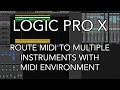 Logic Pro X Route MIDI To Multiple Instruments With MIDI Environment