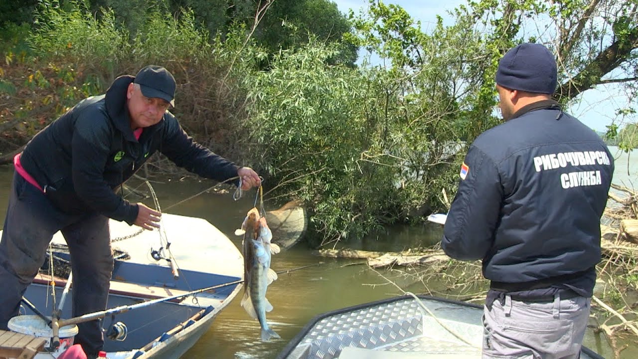 Ribolov na Dunavu kod Novog Sada - Ribočuvarska služba JVP 