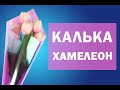 Калька хамелеон