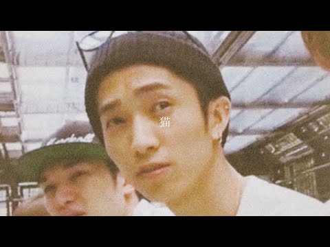 田中樹「猫」