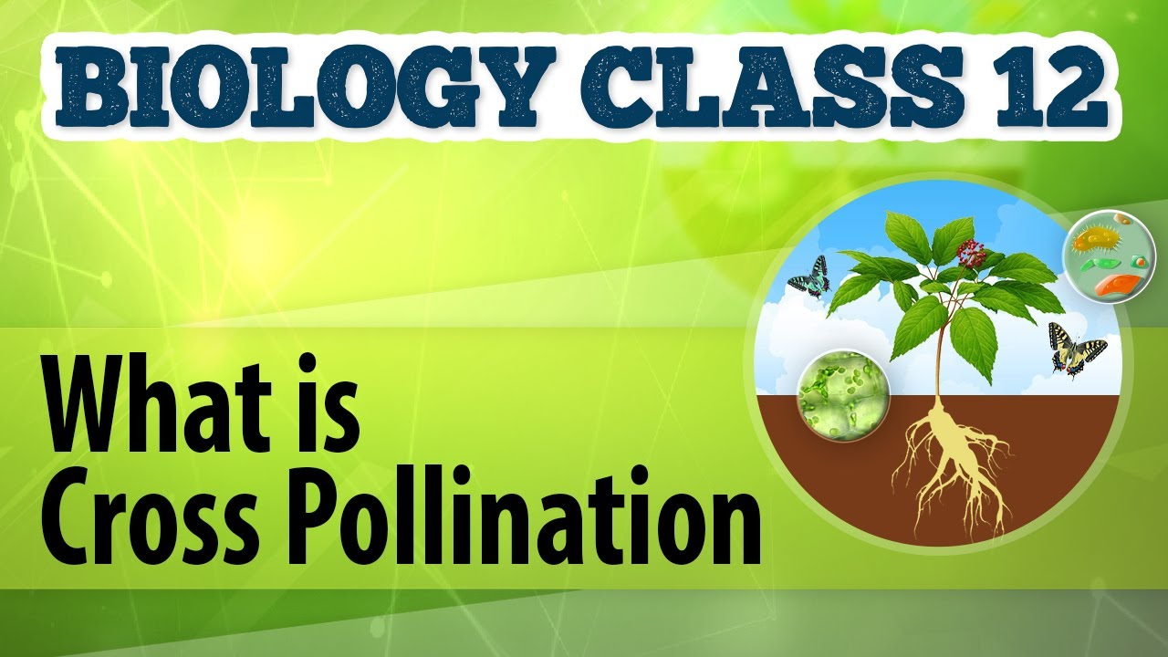 Cross Pollination and Plant Mutation Cross Pollination and Plant Mutation