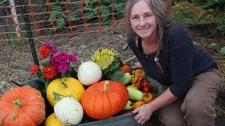 How to grow Winter Squash & Pumpkins Zone 2| Part 1