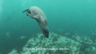 #beatplasticpollution