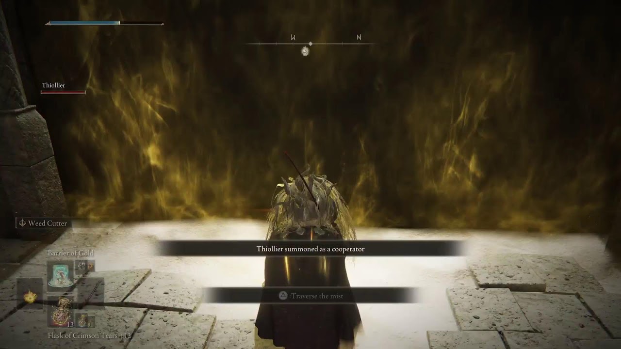 Defeating the final boss promised consort  rahdan | Elden Ring Shadow of the Erdtree |