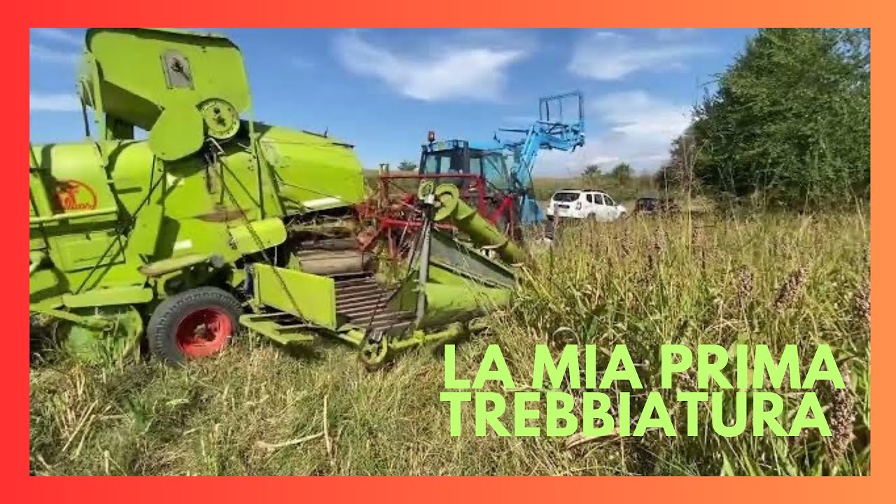 TREBBIATURA SORGO - - CLAAS JUNIOR + LANDINI GLOBUS 75