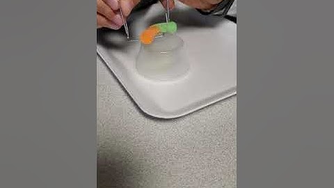 Save Fred! Video example of activity to use if you were absent or can