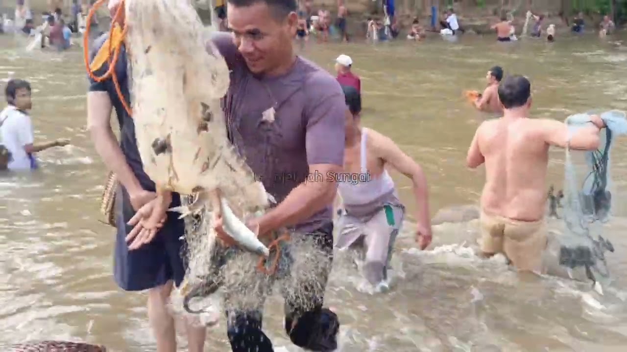 PANEN IKAN MAHSEER Vs. PANEN IKAN MAS