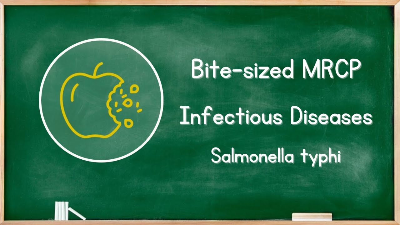Infectious Diseases - Salmonella Typhi - MRCP Exam Revision