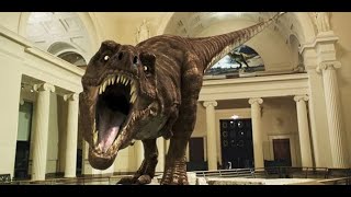 T-Rex, Un Dinosaurio En Hollywood [2005]
