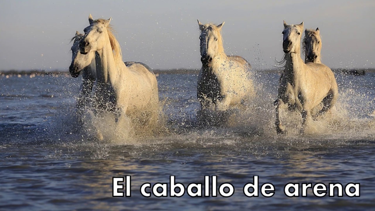 El Caballo De Arena Cuento Completo
