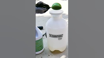 Short: DIỆT CỎ = Giấm + Muối + Xà Bông