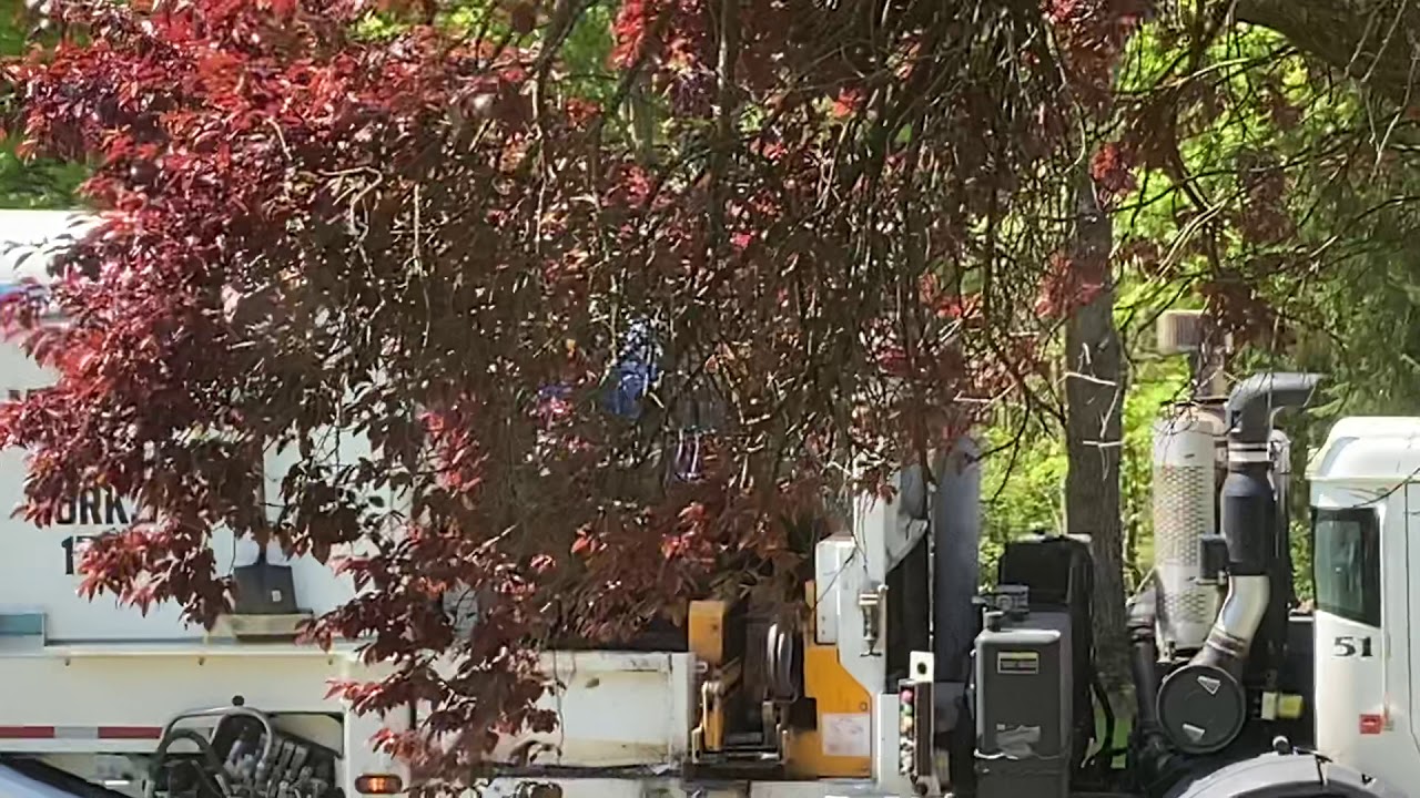 Penn Waste Recycle Truck 2 5/13/20 YouTube