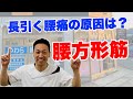 『長引く腰痛の原因』『腰方形筋』