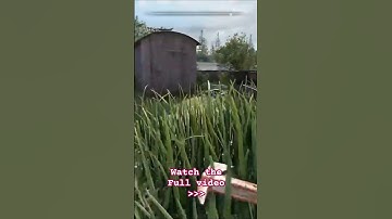 "The drink of freedom" #gaming #atomfall #gameplay