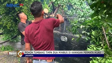 Pohon Tumbang di Jakarta Barat Timpa 2 Mobil #LintasiNewsPagi 12/12