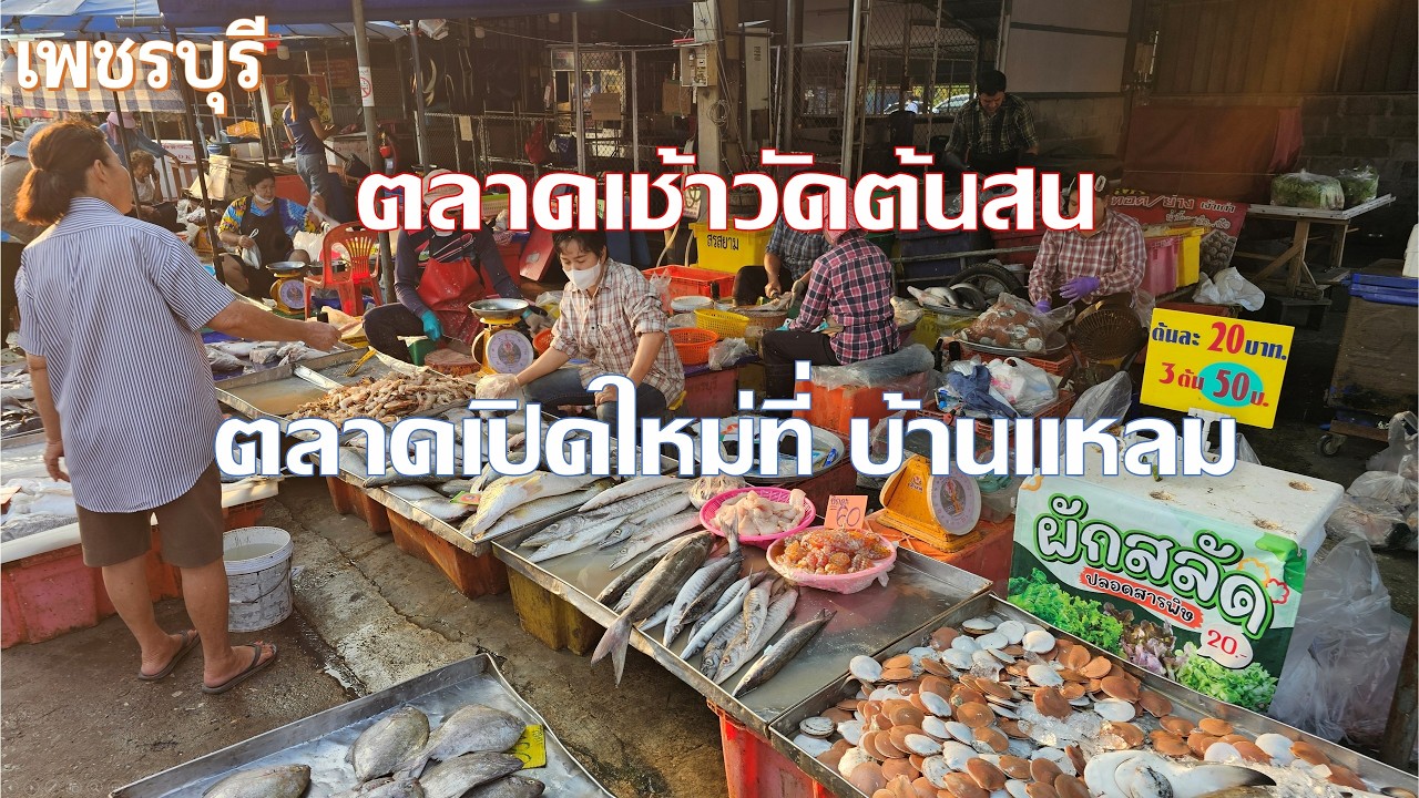ตลาดเช้าอาหารทะเล วัดต้นสน บ้านแหลม อาหารทะเลสด ๆ ถูกมากเท่าที่เคยเจอมาเลย เพชรบุรี